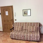 Malibu Falcade